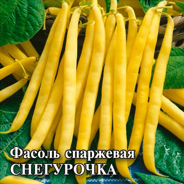 Фасоль 20 21 Май 27 Магазин